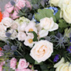 Meet your Posher, Willa